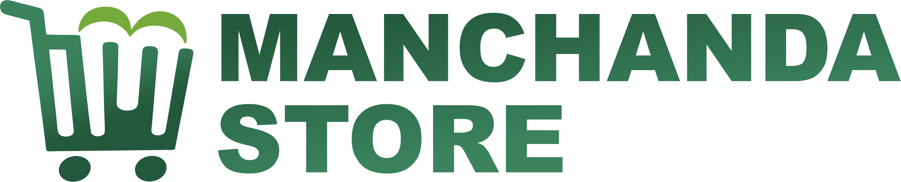 Manchanda Store